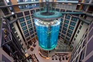 Aquadom lift